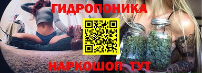 ПСИЛОЦИБИНОВЫЕ ГРИБЫ Гусев